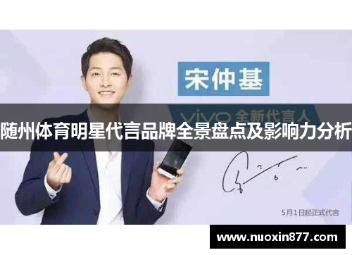 随州体育明星代言品牌全景盘点及影响力分析